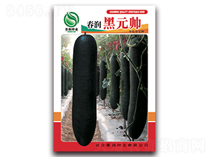 ������Ԫ��-���ϷN��-�����N�I(y��)