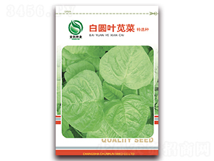 �׈A�~�{��-�{�˷N��-����(r��n)�N�I(y��)