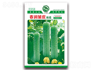 ����(r��n)��Ƥ-�z�ϷN��-����(r��n)�N�I(y��)