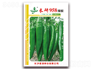 �L(zh��ng)��958-�����N��-����(r��n)�N�I(y��)