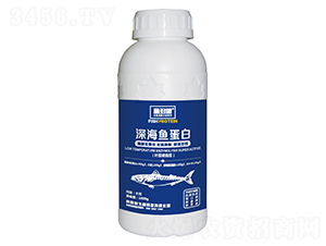 ��~����-ʩ�ཡ-�W˹�D