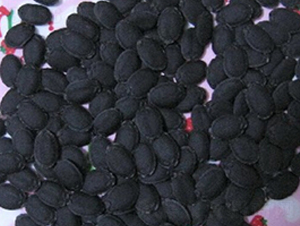 �z�ϷN��-�r(n��ng)����(l��)