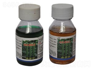 �z���r�����M��-�r(n��ng)����(l��)