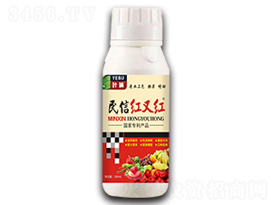 ���żt�ּt-�~��-�S̩