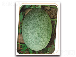 ����-��ϷN��-����(y��u)�r(n��ng)�I(y��)