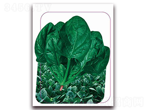 �Ą�-���˷N��-����(y��u)�r(n��ng)�I(y��)