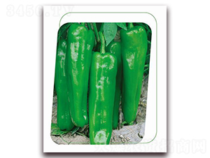 ��(gu��)��5̖(h��o)-�����N��-����(y��u)�r(n��ng)�I(y��)