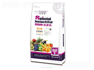 �����-��(y��u)����-����r(n��ng)�I(y��)