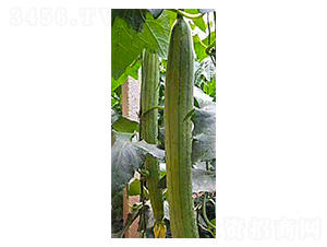 ���һ̖(h��o)-�z����-���N�I(y��)