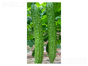 �|�L(f��ng)21-��ϷN��-���N�I(y��)