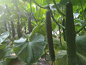 ������89-�S�ϷN��-���N�I(y��)