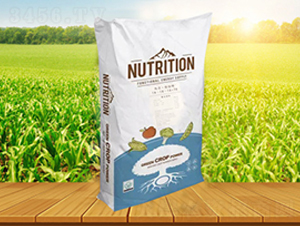 ˮ�ܷʸ���˹�ء�ѩ�{ɽ-����˹��