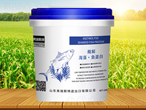 �����~����-����˹��