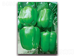 �S��һ̖(h��o)-�����N��-(li��n)�S�N�I(y��)