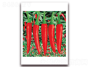 �n��(gu��)��������-���콷�N��-(li��n)�S�N�I(y��)