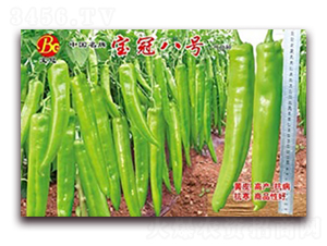 ���ڰ�̖(h��o)-�����N��-(li��n)�S�N�I(y��)