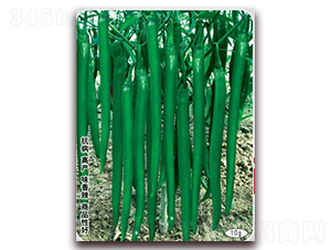 �¸������S��̖(h��o)-�����N��-(li��n)�S�N�I(y��)