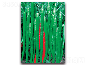 �Gɫ��@-�����N��-(li��n)�S�N�I(y��)