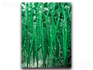 ����(y��u)��̖(h��o)-�����N��-(li��n)�S�N�I(y��)