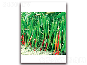 ���x���S��̖(h��o)-�����N��-(li��n)�S�N�I(y��)