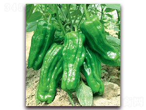 (li��n)�S��Ʒ��̖(h��o)-�ݽ��N��-(li��n)�S�N�I(y��)