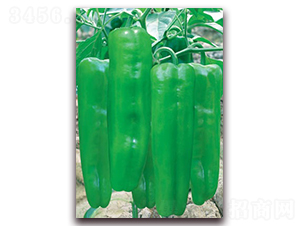 �G���-�ݽ��N��-(li��n)�S�N�I(y��)