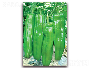 ����һ̖(h��o)-�ݽ��N��-(li��n)�S�N�I(y��)