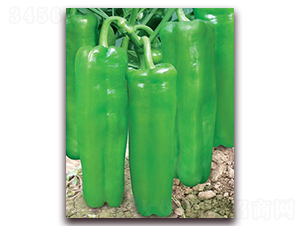 �۰�����-�ݽ��N��-(li��n)�S�N�I(y��)