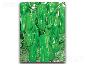 ������̖(h��o)-�ݽ��N��-(li��n)�S�N�I(y��)