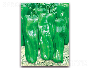 ������-�ݽ��N��-(li��n)�S�N�I(y��)