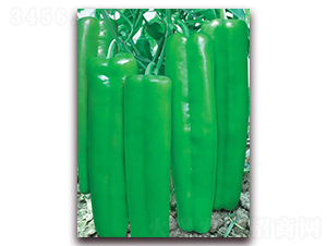 �´��602-�ݽ��N��-(li��n)�S�N�I(y��)