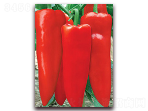 �t��(y��u)2012-�ݽ��N��-(li��n)�S�N�I(y��)