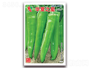 �A��֮��-�⽷�N��-(li��n)�S�N�I(y��)