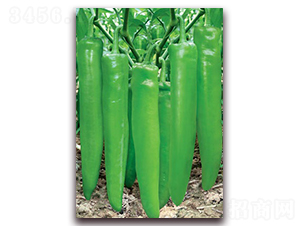 �w��֮��-�⽷�N��-(li��n)�S�N�I(y��)