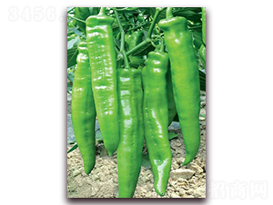 (li��n)�S��-�⽷�N��-(li��n)�S�N�I(y��)