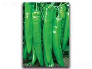 �G��668-�⽷�N��-(li��n)�S�N�I(y��)