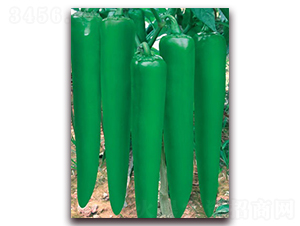 �����Ԫ-�⽷�N��-(li��n)�S�N�I(y��)