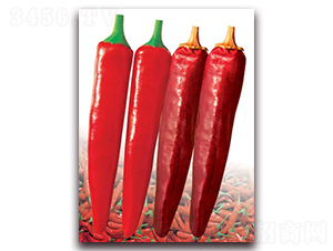 ���޼t��-�⽷�N��-(li��n)�S�N�I(y��)