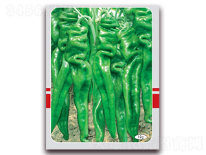 �ݽz����-�ݽz���N��-(li��n)�S�N�I(y��)