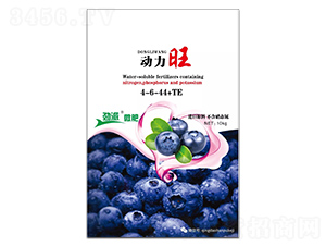 ������4-6-44+TE-����΢��-����