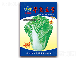 ����5̖-�ײ˷N��-����N�I(y��)