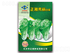 ���������ײ�-�ײ˷N��-����N�I(y��)