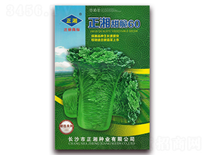 �������60-�ײ˷N��-����N�I(y��)