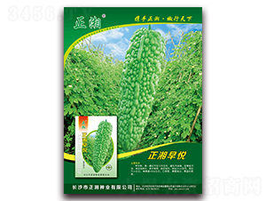 �����琂-��ϷN��-����N�I(y��)