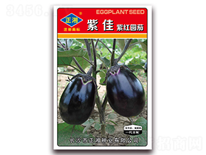 �ϼ��ψA�t��-���ӷN��-����N�I(y��)