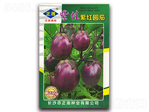 �ϼ��ϼt�A��2020-���ӷN��-����N�I(y��)