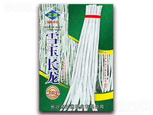 ѩ���L��-���ǷN��-����N�I(y��)