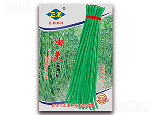 ��������F1-���ǷN��-����N�I(y��)