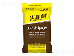 �����S�����-��(sh��)����-ס�̺긣