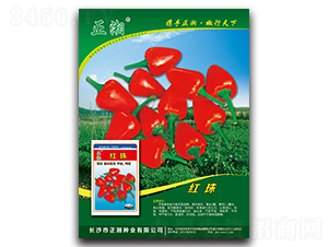 �t��-���콷�N��-����N�I(y��)